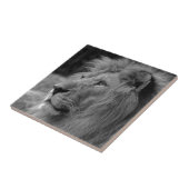 白黒ライオン – 野生動物写真アート タイル (側面)