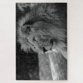 白黒ライオン – 野生動物 ジグソーパズル (縦)