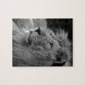 白黒ライオン – 野生動物 ジグソーパズル (横)