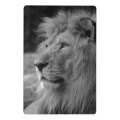 白黒ライオン – 野生動物 ミニクリップボード (裏面)