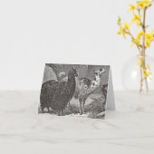 白黒ラマアルパカアンデス動物芸術 カード (黄色い花)