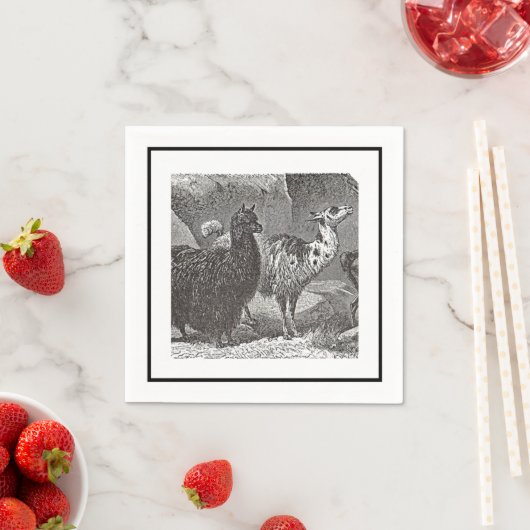 白黒ラマアルパカアンデス動物芸術 スタンダードカクテルナプキン (インサイチュ)