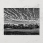 白黒ランドスケープ中央公園の写真 ポストカード (正面)