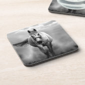 白黒ランニングズホースフリーダム コースター (左側)