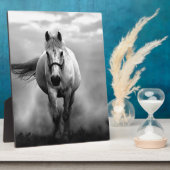 白黒ランニングズホースフリーダム フォトプラーク (側面)