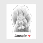 白黒リス シール (シート)