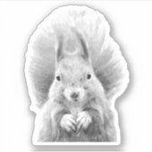 白黒リス シール (正面)
