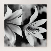 白黒リリーパズル ジグソーパズル (横)