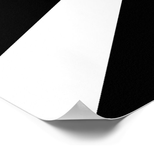 白黒レイ ポスター (角)