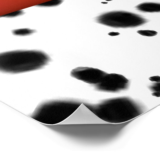 白黒レッドボウダルマティアンスポットバースデーパーティー ポスター (角)