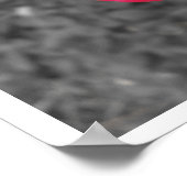 白黒レッドローズポスター ポスター (角)