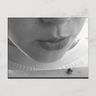 白黒レディバグ ポストカード