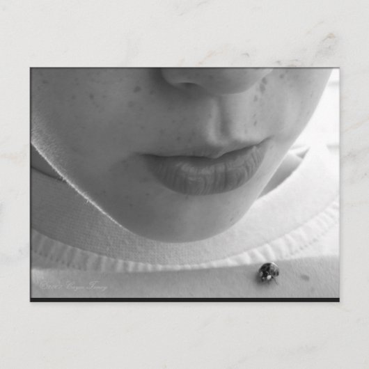 白黒レディバグ ポストカード (正面)