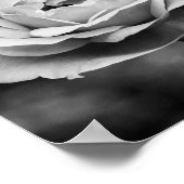 白黒ロマンチックバラ ポスター (角)