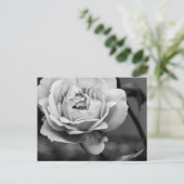 白黒ロマンチックバラ ポストカード (スタンド正面)