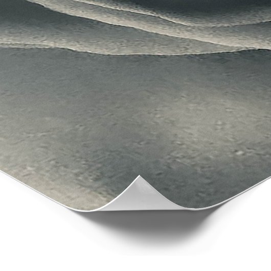 白黒ローズ ポスター (角)