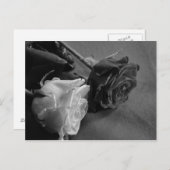 白黒ローズ ポストカード (正面/裏面)