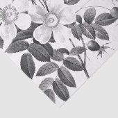 白黒ワイルドバラ花 薄葉紙 (詳細)