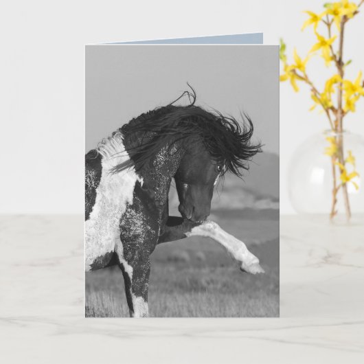 白黒ワイルドホースのグリーティングカードを打つ カード (黄色い花)