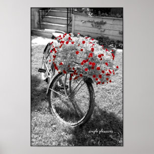 白黒ヴィンテージの自転車の赤によってはポスターが開花します ポスター