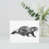 白黒ヴィンテージグラウンドホッグ葉書 ポストカード (スタンド正面)