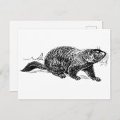 白黒ヴィンテージグラウンドホッグ葉書 ポストカード (正面/裏面)