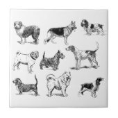 白黒ヴィンテージ犬のパターン タイル (正面)