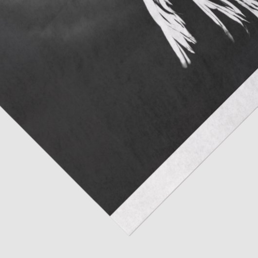 白黒写真の女性の踊り切り離し 薄葉紙 (詳細)