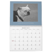 白黒写真動物風景鳥 カレンダー (3月 2017)