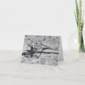 白黒写真 カード (正面)