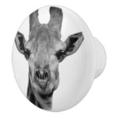 白黒写真 セラミックノブ (右)