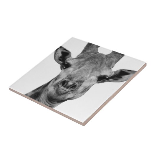 白黒写真 タイル (側面)