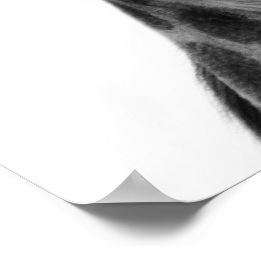 白黒写真 ポスター (角)