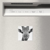 白黒写真 マグネット (インサイチュ (食洗機))