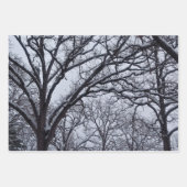 白黒冬の自然野生動物の鹿 ラッピングペーパーシート (正面)