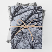 白黒冬の自然野生動物の鹿 ラッピングペーパーシート (インサイチュ)