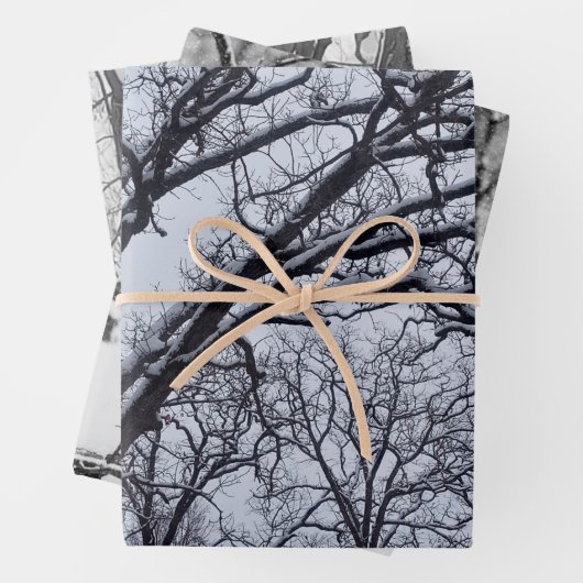 白黒冬の自然野生動物の鹿 ラッピングペーパーシート (インサイチュ)