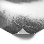 白黒動物のラマ ポスター (角)