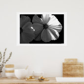 白黒半日 ポスター (キッチン)