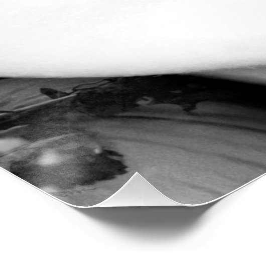 白黒唇 ポスター (コーナー)