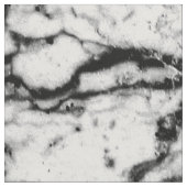 白黒大理石の石造りパターン ファブリック (クローズアップ)