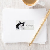 白黒思慮型の子猫住所 シール (インサイチュ)