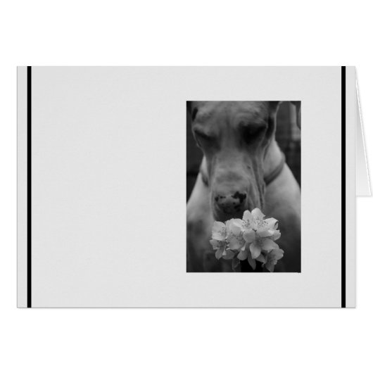 白黒悔やみや弔慰弔意 (正面横)