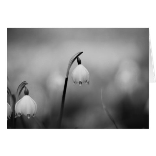 白黒悔やみや弔慰弔意 (正面横)