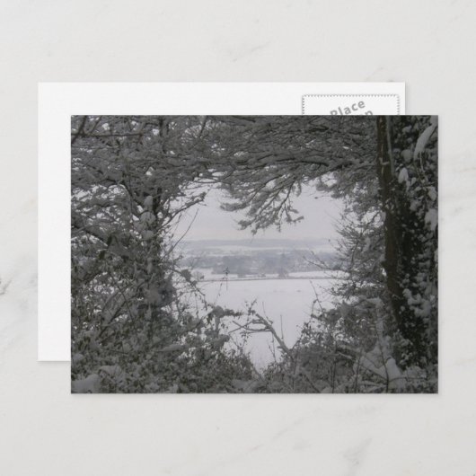 白黒愛雪のハートの写真のクリスマス シーズンポストカード (正面/裏面)