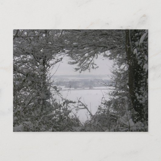 白黒愛雪のハートの写真のクリスマス シーズンポストカード (正面)