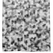 白黒抽象芸術プレイド シャワーカーテン (正面)