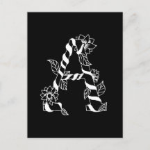 白黒文字「A」、巻き花