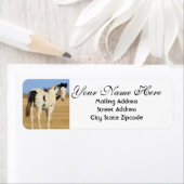 白黒斑馬差出人住所 ラベル (インサイチュ)