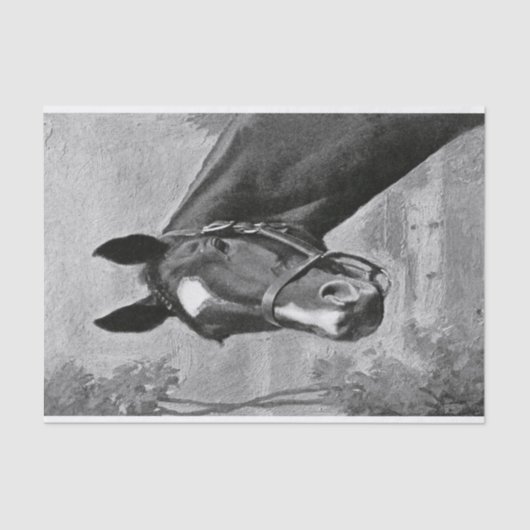 白黒旧式なヴィンテージの馬のイラストレーション 薄葉紙 (正面)